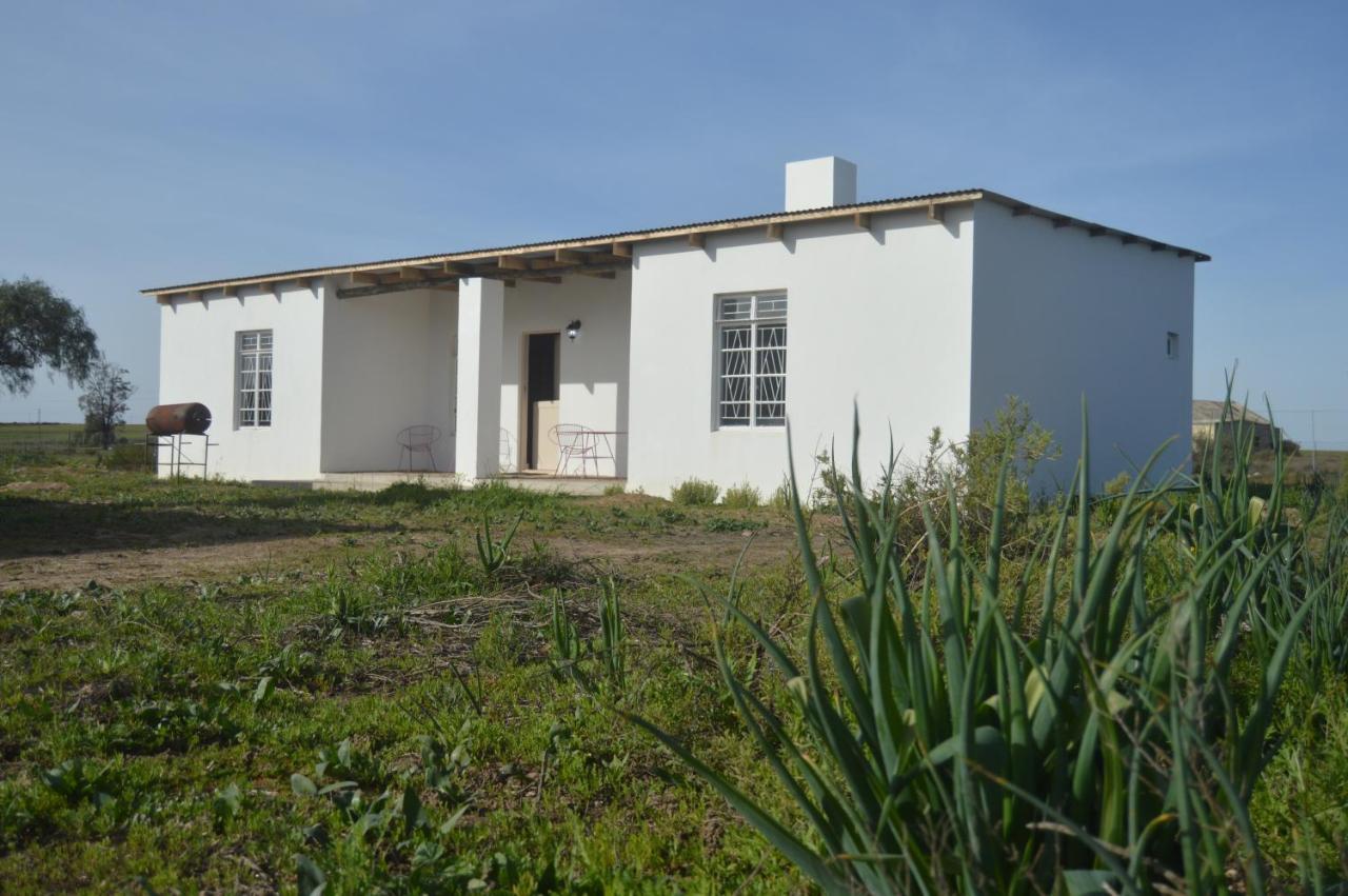 Willemsrivier Trekpad Guest Houses Nieuwoudtville Екстериор снимка